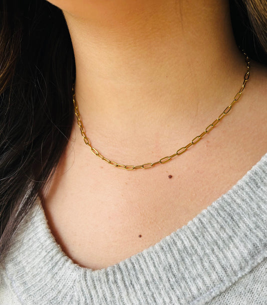 Paperclip Chain Necklace 14K Gold Plated 304 Stainless Steel